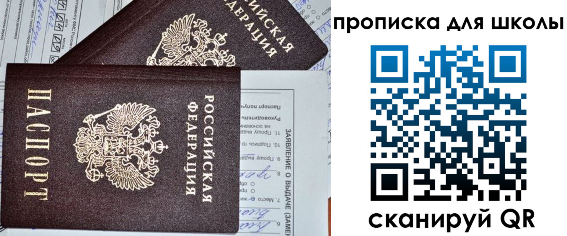 прописка в Дубне